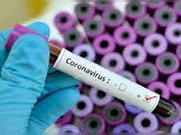 गया में तीन कोरोना संदिग्ध की हुई मौत गया में तीन कोरोना संदिग्ध की हुई मौत